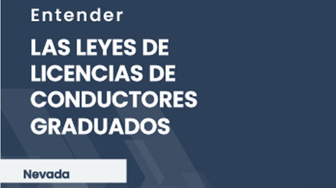 nv-gdl-brochure-es-thum
