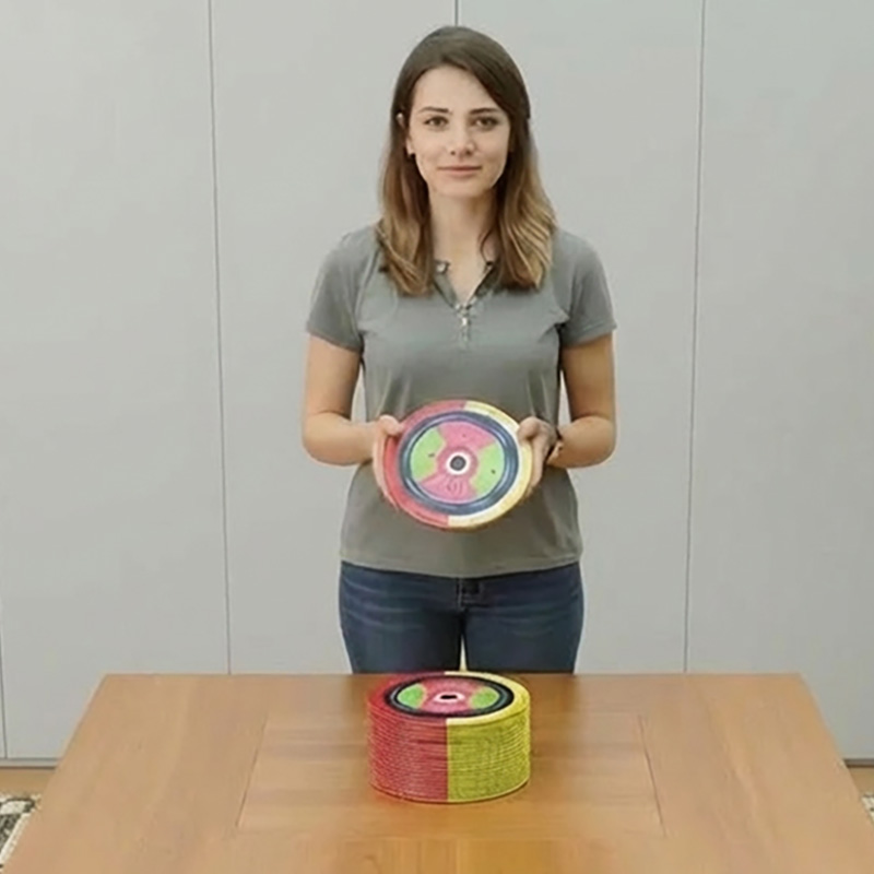 Wheel of Distraction Bundle (25)